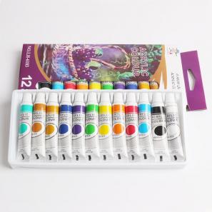 12 Colors 12ml Acrylic Paints Set for Art Painting 